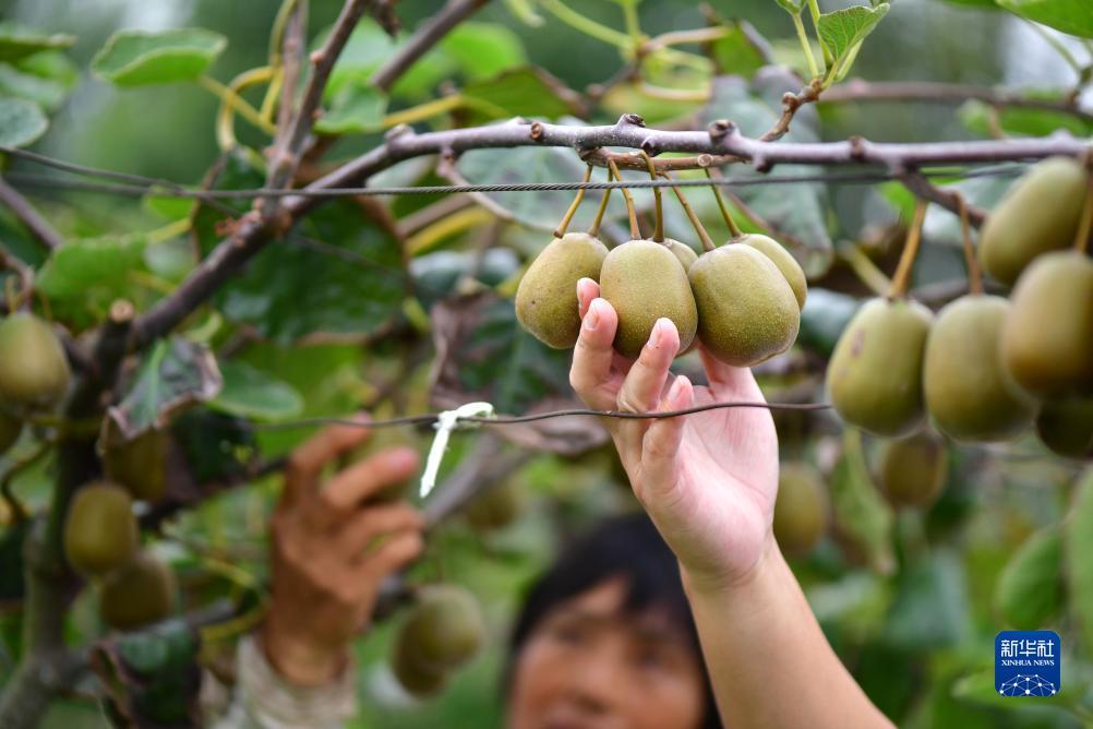 万和城登陆链接